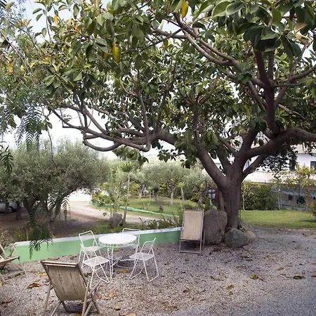 Apartment Patricia Ricadi